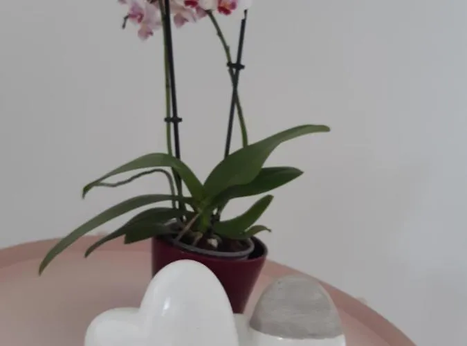 Baumann's - Ruhige Lage Апартаменты *